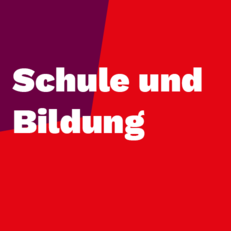 Zum Thema Schule und Bildung