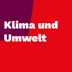 Zum Thema Klima und Umwelt